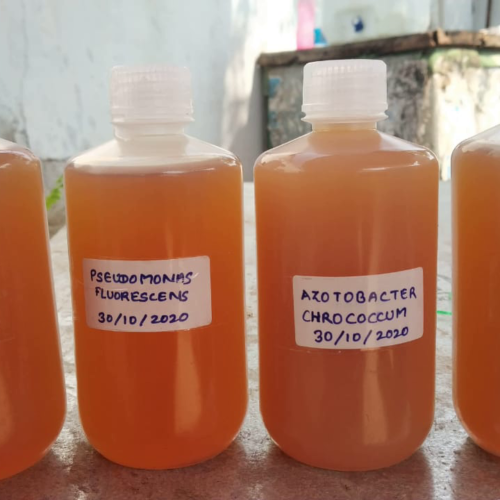 Bioinputs